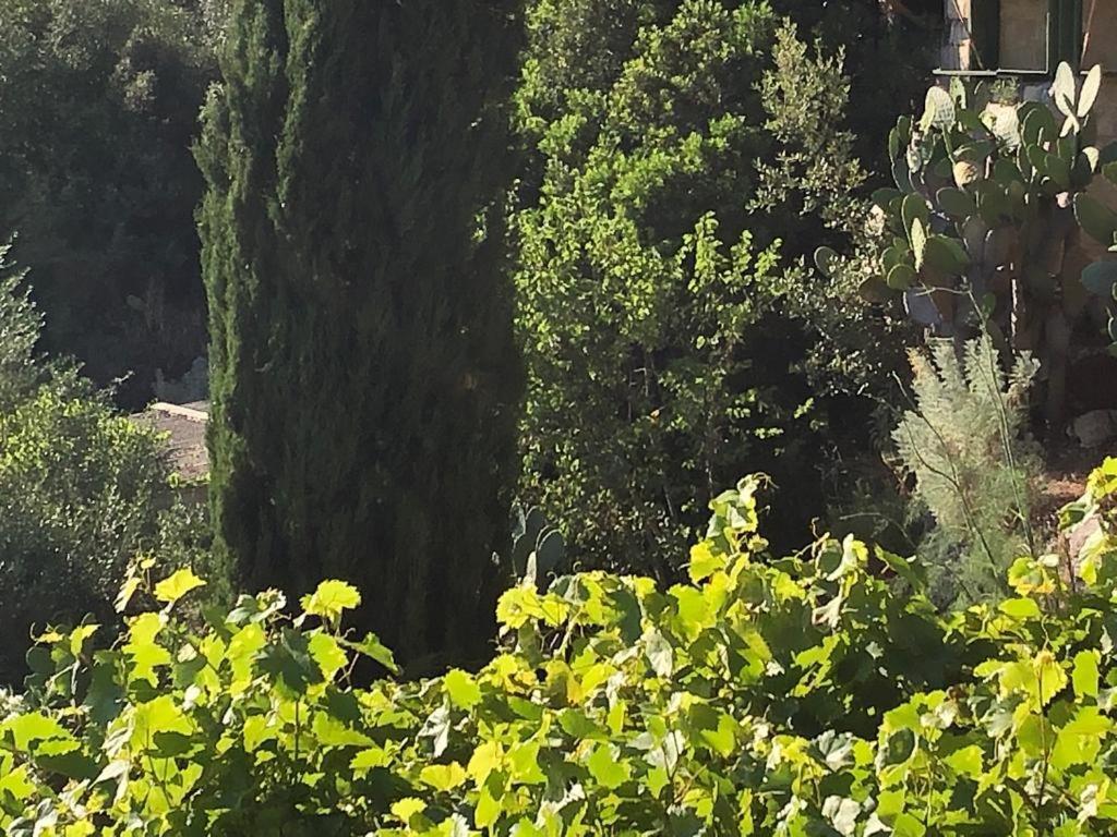 Vistalago Garden Doria Monteleone Rocca Doria Eksteriør billede