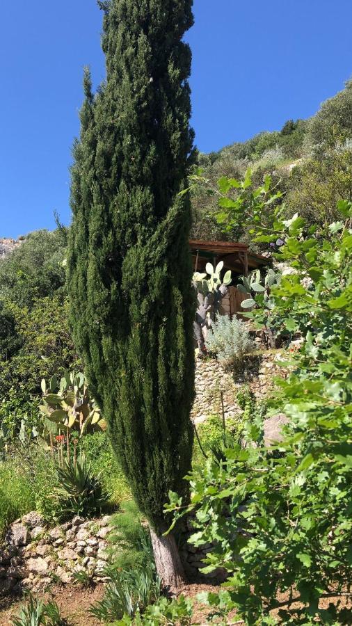 Vistalago Garden Doria Monteleone Rocca Doria Eksteriør billede