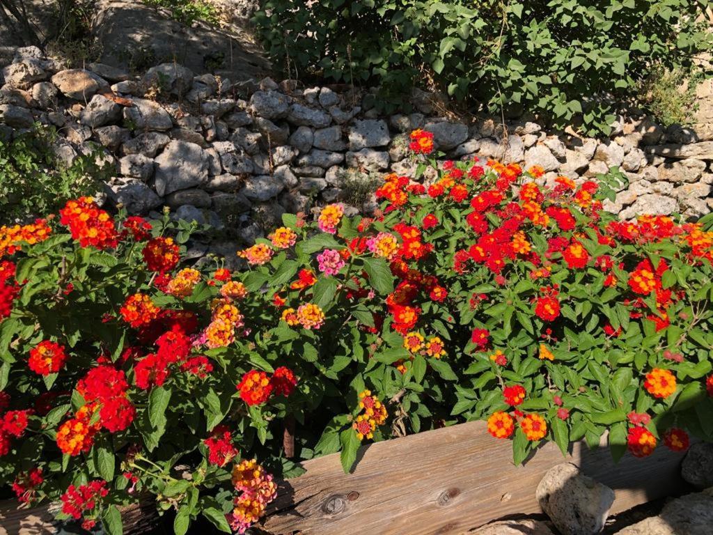 Vistalago Garden Doria Monteleone Rocca Doria Eksteriør billede